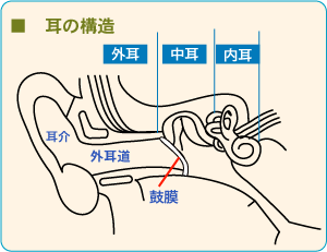 耳 の 中 臭い